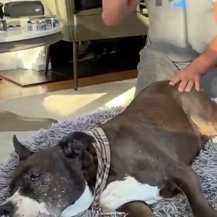 Choo getting a rubdown on his bed