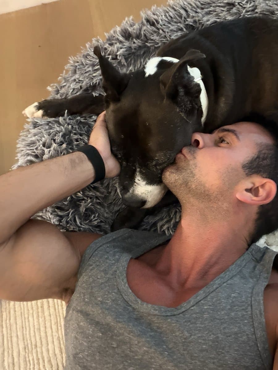 Choo cuddling his owner