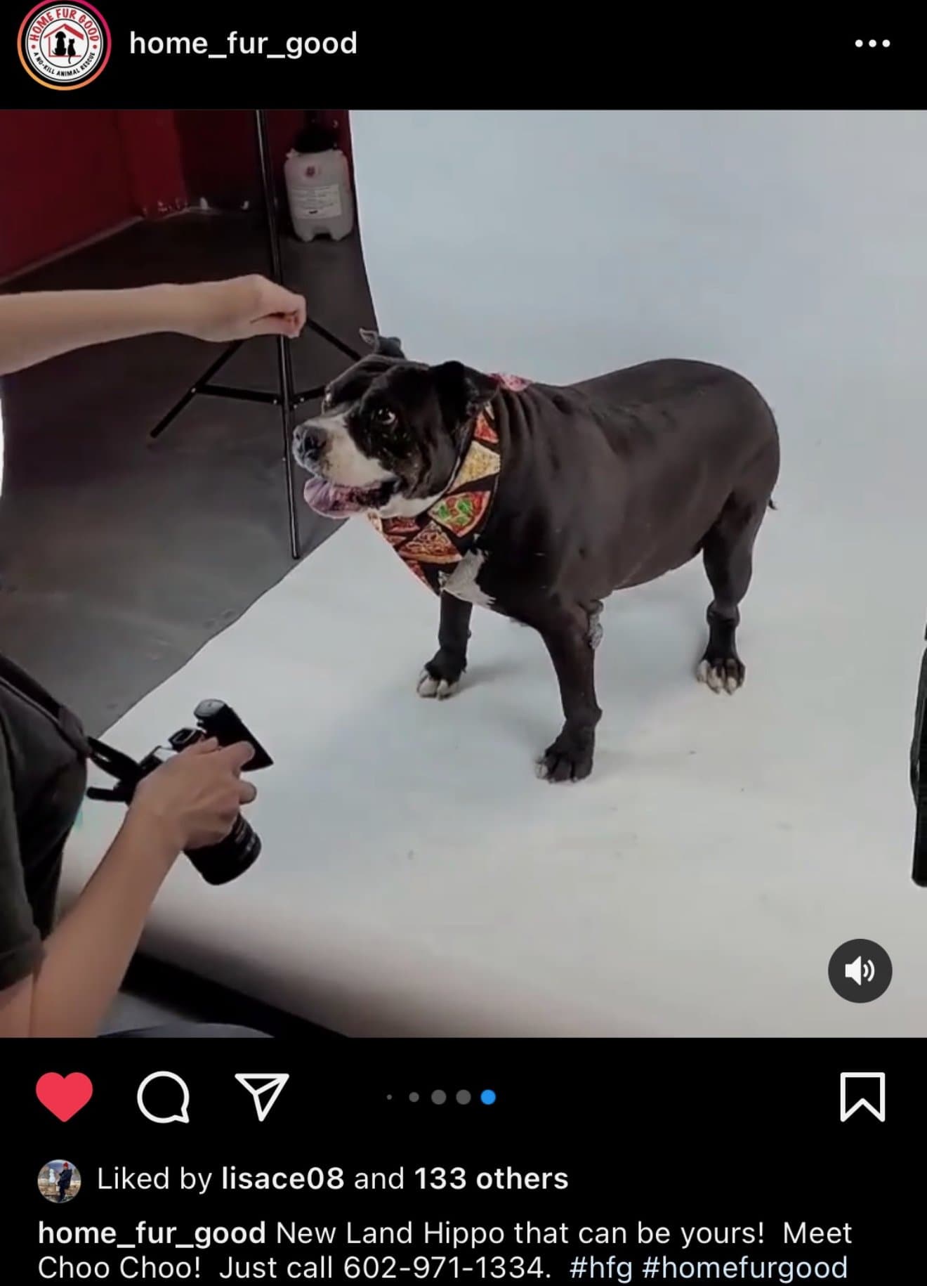 An Instagram post of Choo at a photo shoot